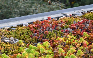the cost of Misery Corner green roof installation