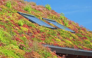 Misery Corner living roof systems